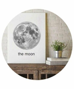 poster the moon